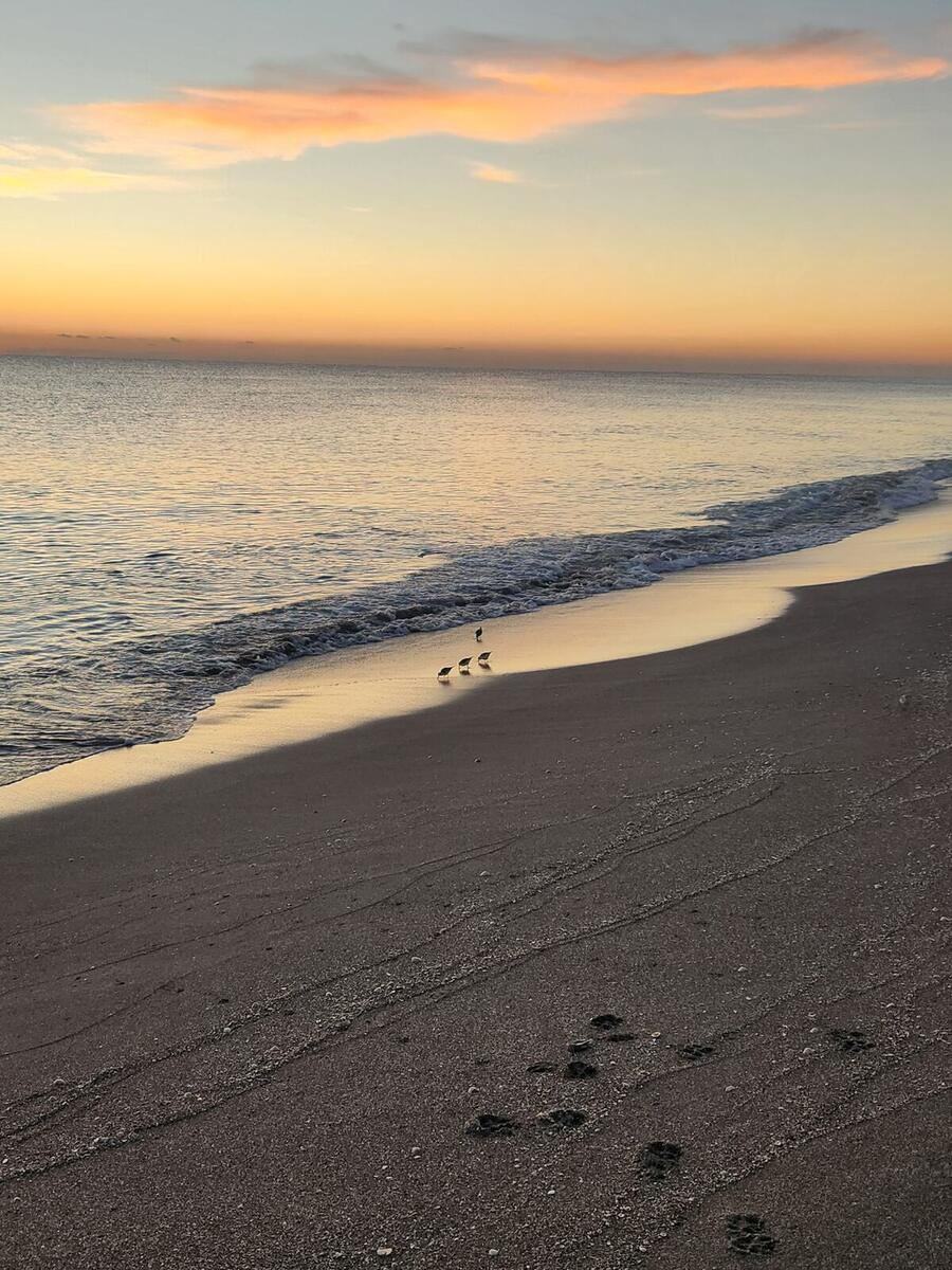 Footprints on Jupiter Beach at dawn